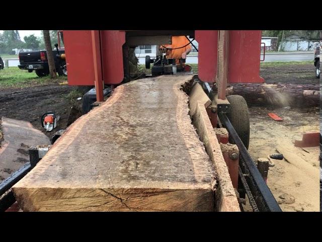 Timberking b-20 sawmill cutting Live Oak