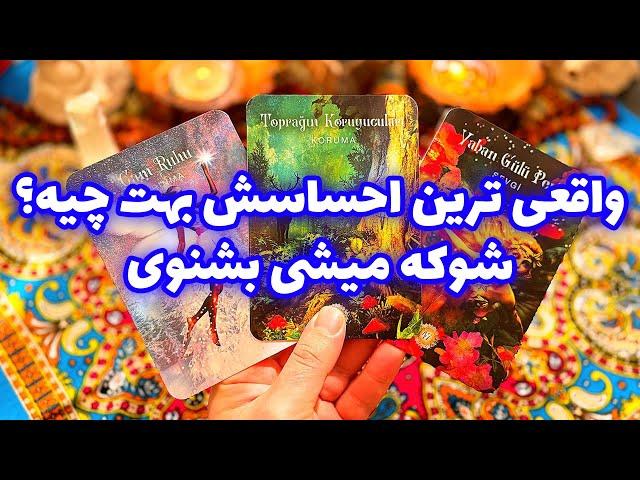 فال تاروت مرلین - واقعی ترین احساسش بهت چیه؟ شوکه میشی بشنوی