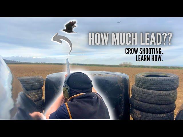 How Much Lead to Shoot a Crow?? | Learn How | Crow Shooting