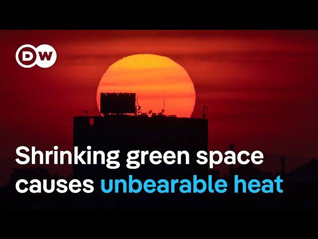 Belgrade could see Cairo-level heat by 2050 | DW News