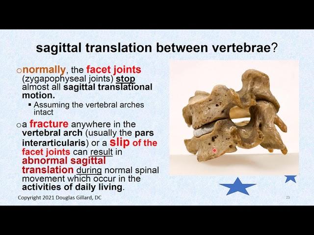 Biomechanics of Vertebra Movement: (Up-dated)