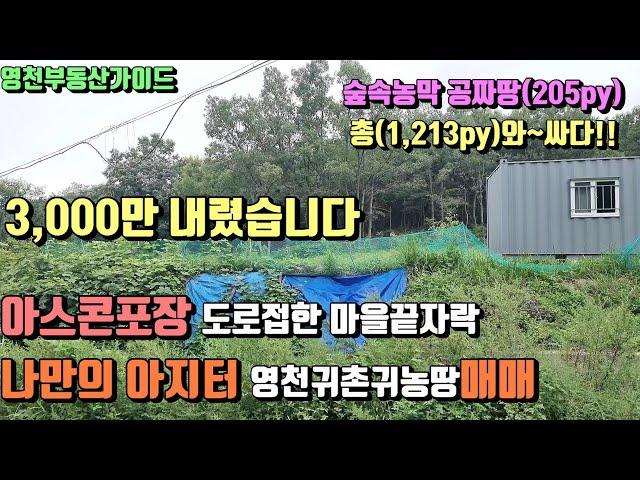 북안i.c초인근 아스콘포장도로접한 공짜땅까지 영천주말농장급매(1,213py)평당120,000만원[매물번호383]/영천부동산가이드/영천부동산