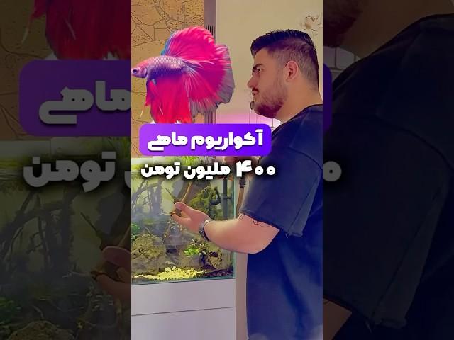 درآمد پرورش ماهی چقدره ؟  جوابش آخر ویدئو