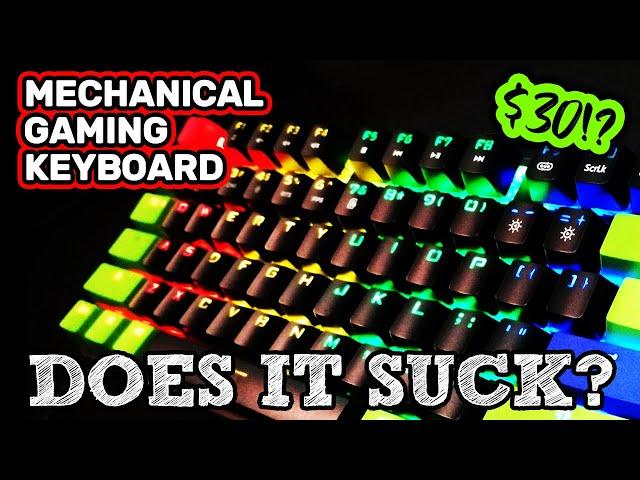 AWESOME $30 Mechanical Keyboard by METOO [Review]