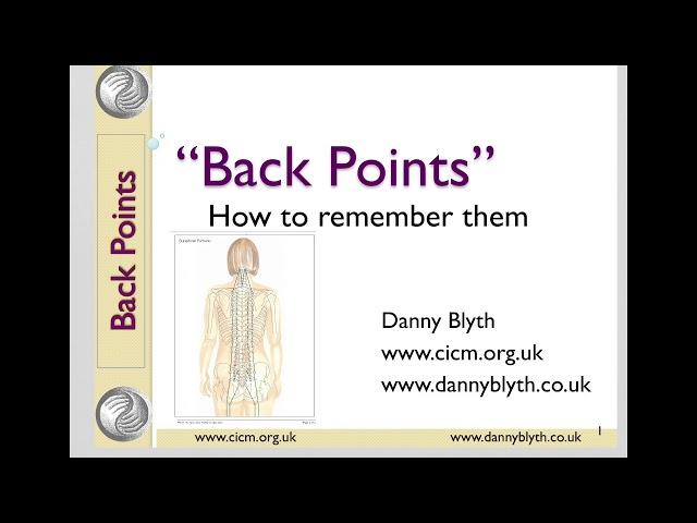 How To Remember and Locate Acupuncture Points On The Back