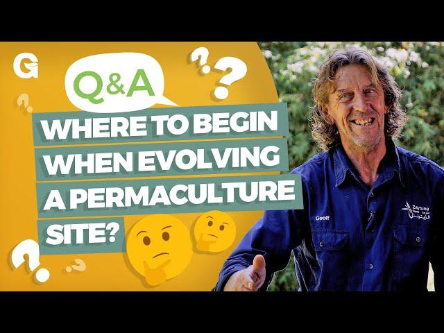 Where to Begin When Evolving a Piece of Land into a Permaculture Site