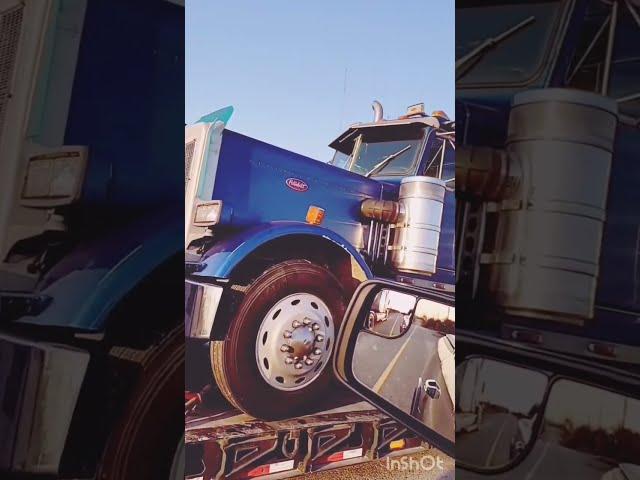 How the 87 showed up  #peterbilt #peterbilt359 #largecar #restoration