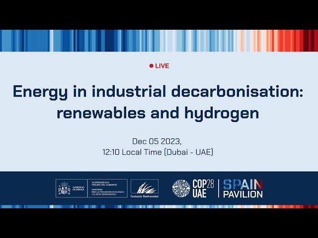 Energy in Industrial Decarbonization: Renewables and Hydrogen