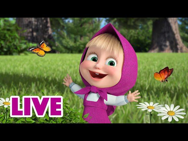 ماشا والدب ‍️ LIVE STREAM!  التقط مزاجك الجيد  Masha and the Bear