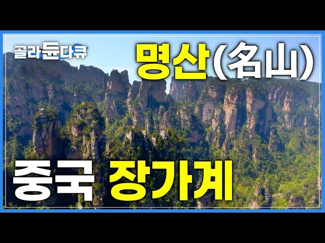 3000개가 넘는 봉우리가 만든 엄청난 절경! 중국의 장자제│아바타 촬영지 장가계│중국 소수민족 투자족│세계테마기행│#골라듄다큐