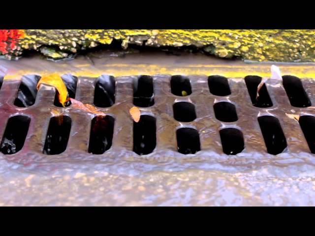 Stormwater Quality:  Inspection