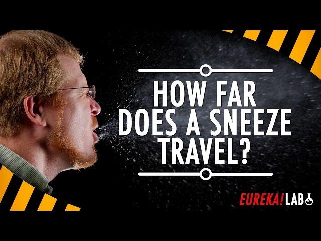 DIY Science: How far does a sneeze travel? Snot science!