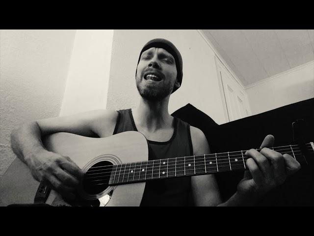 Fleetwood Mac - Landslide - Cover - Dane Toney