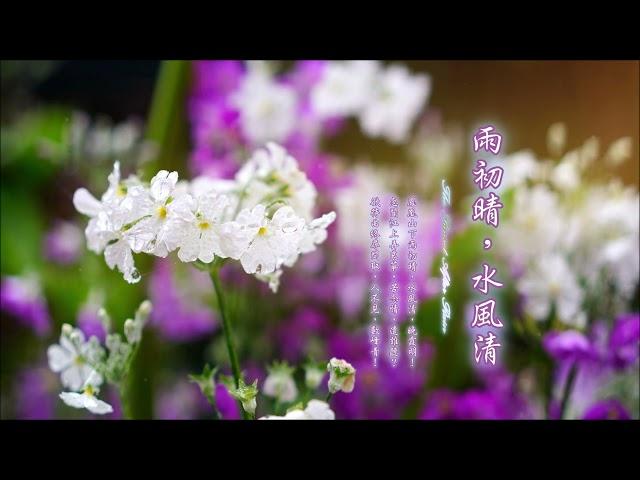 《雨初晴，水風清  The Sunset After Rain》（全專輯） 1:04:49