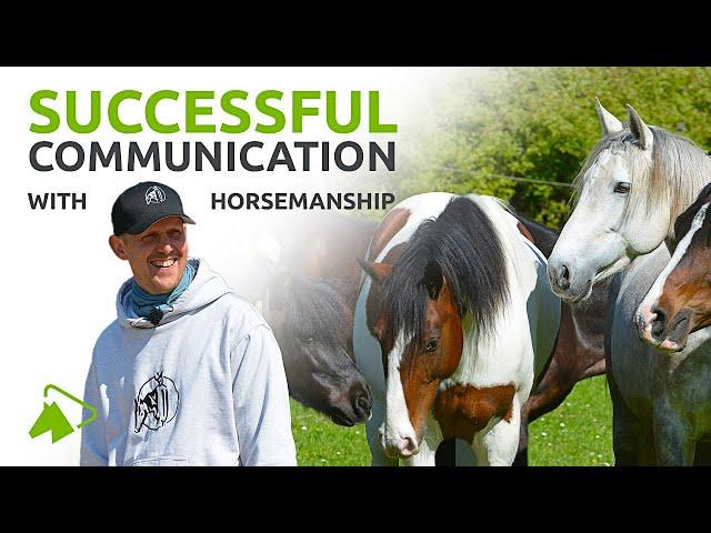 Natural Horsemanship: Better Communication with Horse ABCs | wehorse