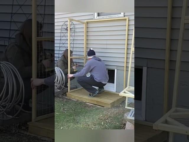 Easy to build cat patio  (a catio!!)