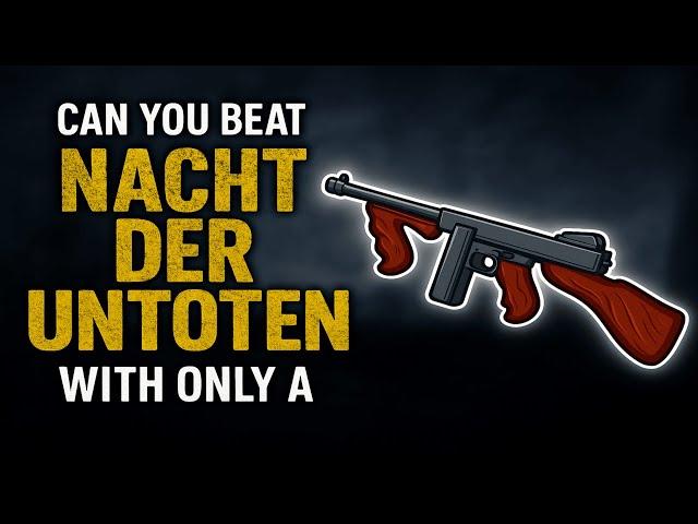 Can You Beat Nacht Der Untoten With a Thompson?