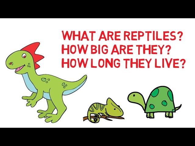 What are reptiles - Characteristics of reptiles - facts about reptiles for kids - Simply E-learn