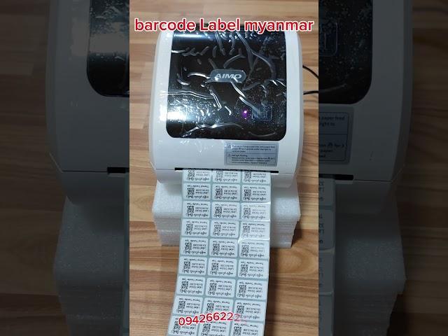 AIMO D520 Printer Printing