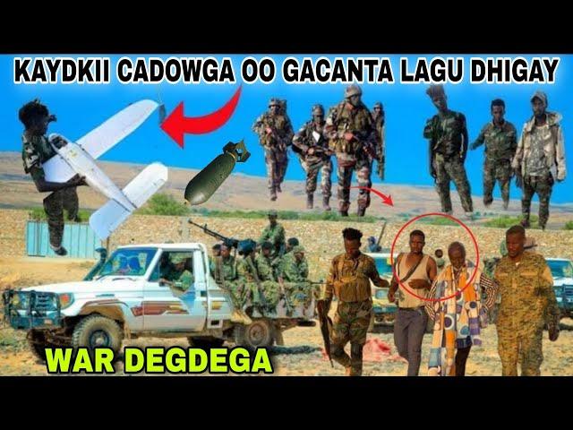 DEGDEG:DAAWO PUNTLAND OO HADA GACANTA KUDHIGTAY KAYDKII WEYNA|YUUSUF INDHACADE OO DAGAAL KUBAQAY