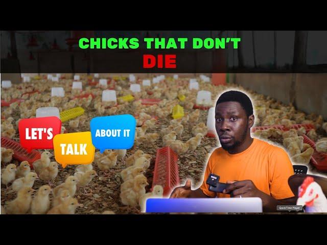 Chicks that Don't DIE