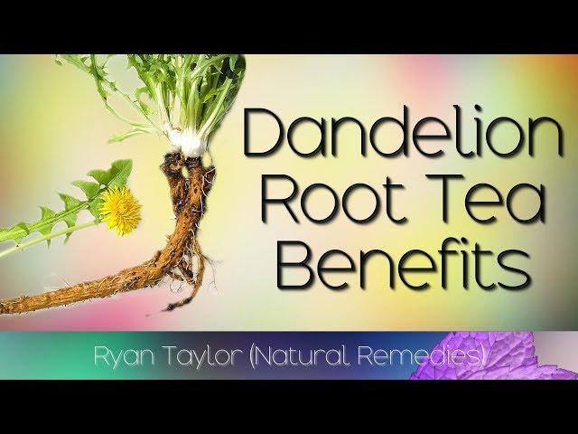 Dandelion Root Tea: Benefits & Uses