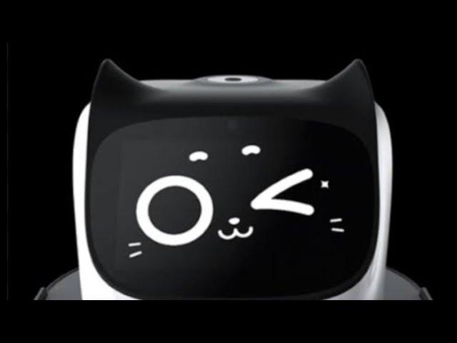 【ガスト・猫ロボット】BellaBot・ベラボット
