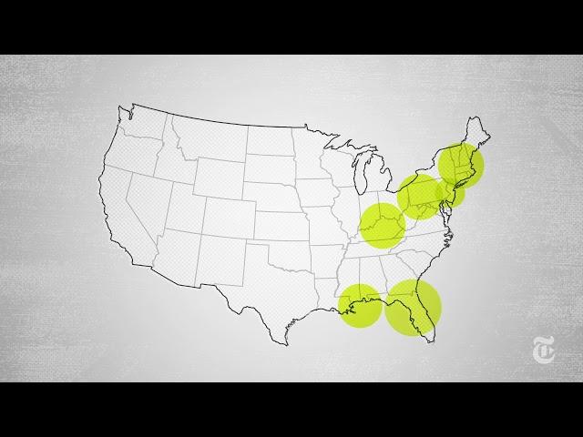 The Facts on America's Opioid Epidemic