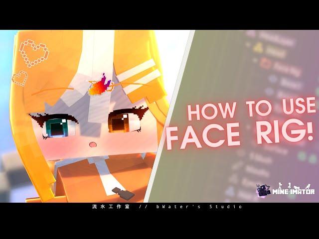 【Tutorial】Step by step teach you to use PixelAnime Face Rig! | Mineimator RIG