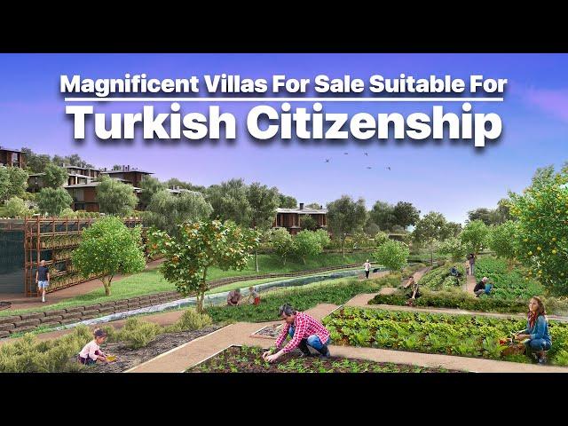 Magnificent Villas for Sale Suitable for Turkish Citizenship M472