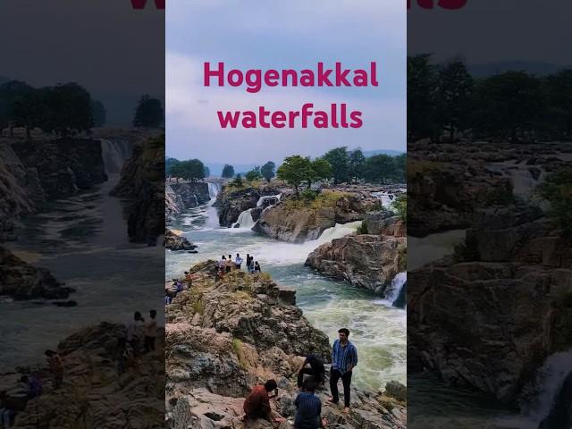 Hogenakkal waterfalls - Waterfalls within 130kms from Benguluru.