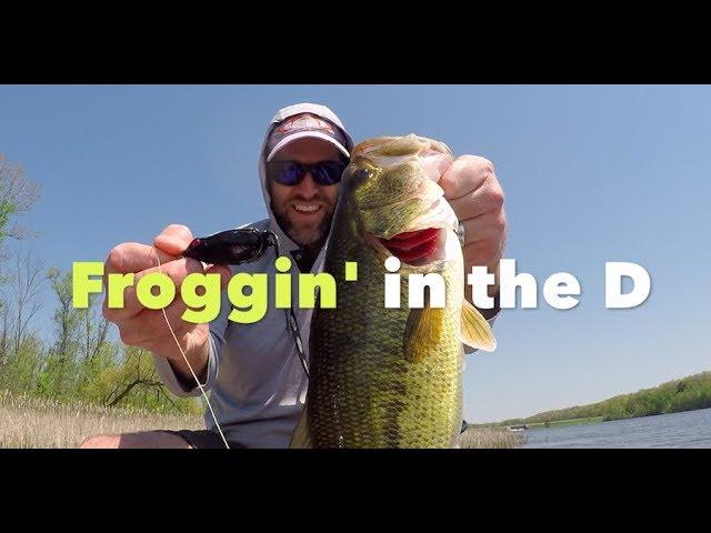 Froggin' in the D