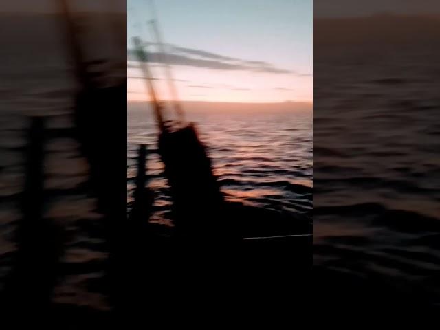 Senja sore di laut #mancing #nelayan #mancingmania #mancingikan #mancingikanbabon #mancingindonesia