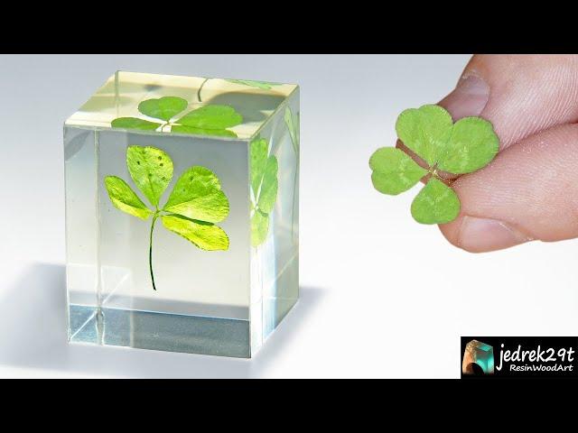 Real Four-Leaf Clover  Pouring in Epoxy / RESIN ART