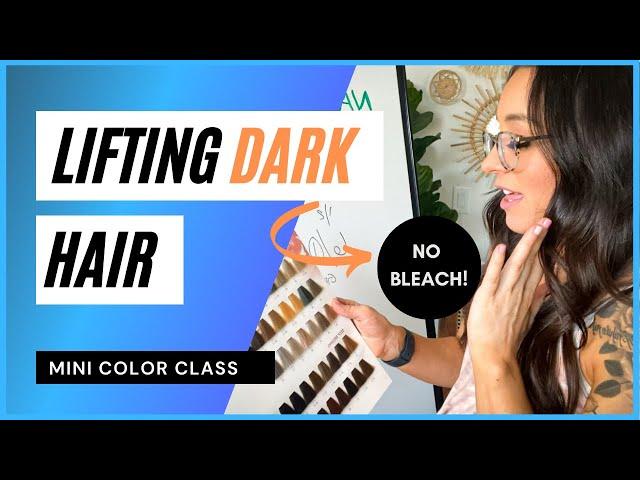 Hair COLOR THEORY mini class: HOW TO lift DARK base colors without bleach or brass!