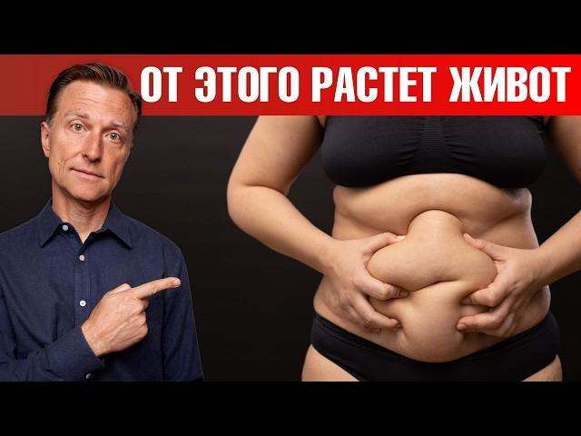 Эти 6 продуктов не дадут вам сжечь жир на животе!