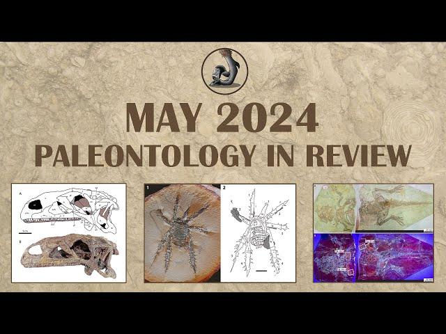 May 2024- Paleontology in Review