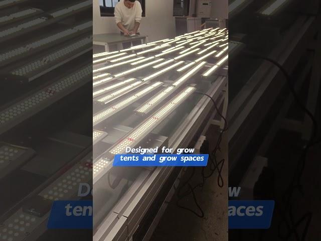 LED Grow light  #kinlight #ledlightsfactory #plantgrowlight