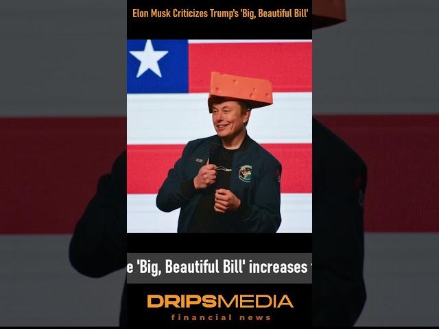 Elon Musk Criticizes Trumps Big Beautiful Bill Again