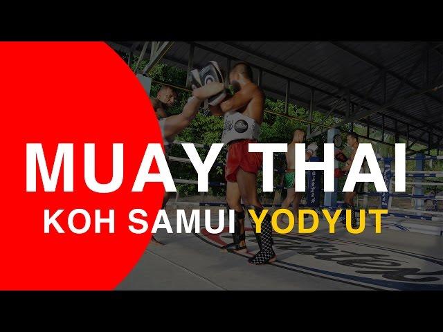 koh samui muay thai training