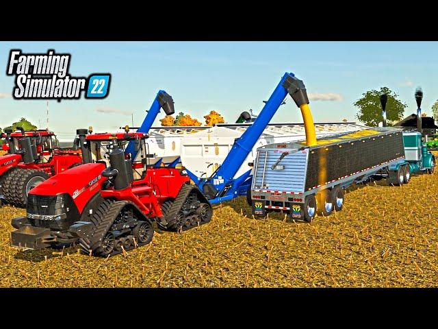 HARVESTING CORN WITH MOTHERBINS! (HOLDS 8,000 BUSHELS!) | BIG TIME FARMING