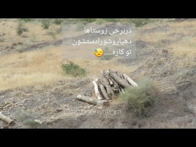 نابودی درختان و جنگلها در شهرستان طارم استان زنجان