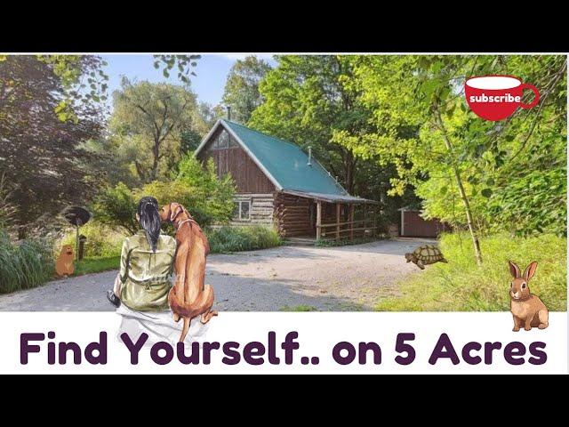 Find Yourself. $107k Log Cabin w/5 Acres in Michigan Woods