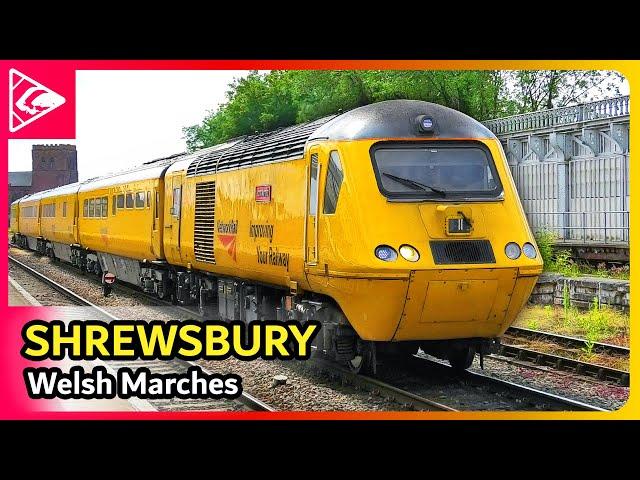 Trains at Shrewsbury 14/06/2024