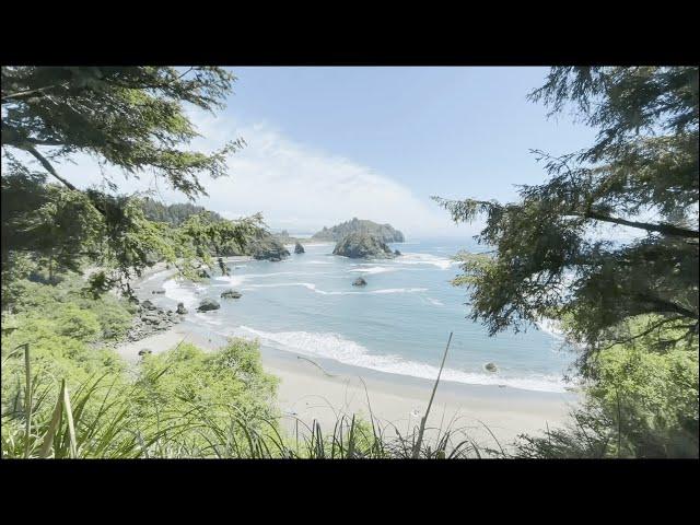 Life of an Indian exploring Northern California |  Desi Travel Vlog | Eureka to Crescent City