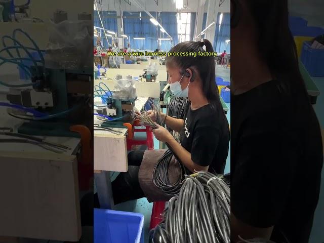We are a wire harness processing factory