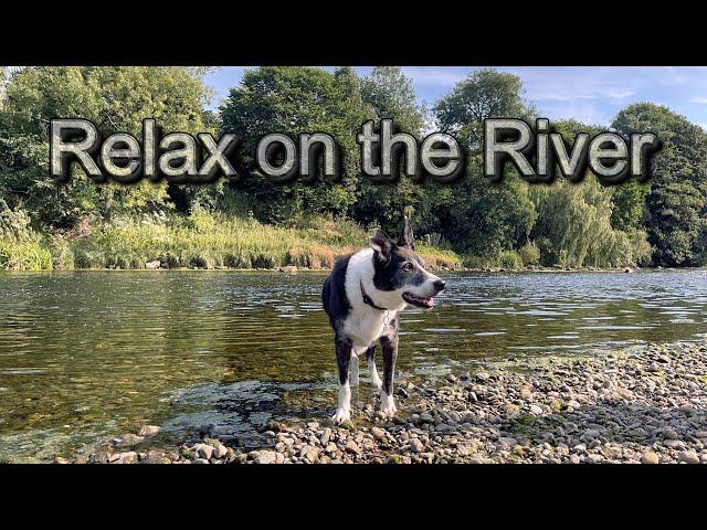 Relaxing walk along the River Eden - Cumbria - Lake District