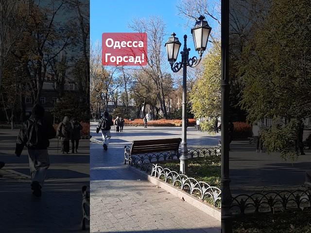 ОДЕССАГОРСАД! #одесса #одессасейчас #одессасегодня #odessa