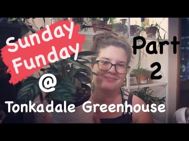 Tonkadale Greenhouse Haul! (Part 2)