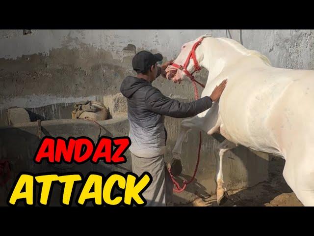 Andaz Attack.. On Chitaki || Interview Ka Program War Giya️